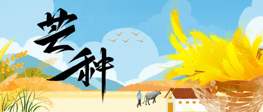 ÷ƣ˸ʫ ʢ  20250605 08:01 